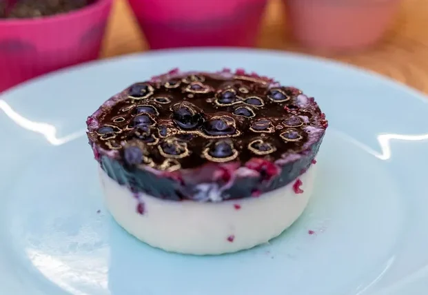 Blueberry Panna Cotta