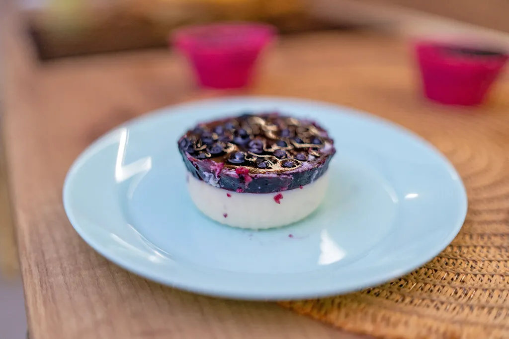 Blueberry Panna Cotta