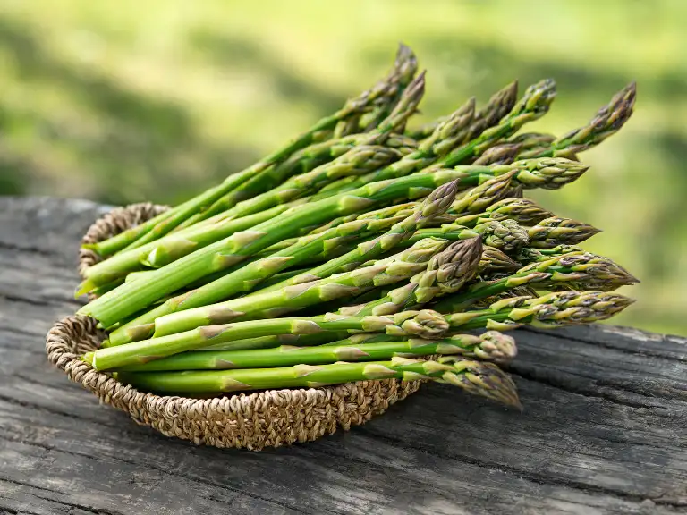 Asparagus Calories