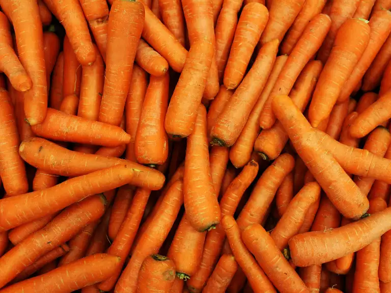 Carrots Calories