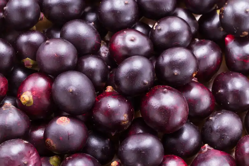 Acai Berries Antioxidants