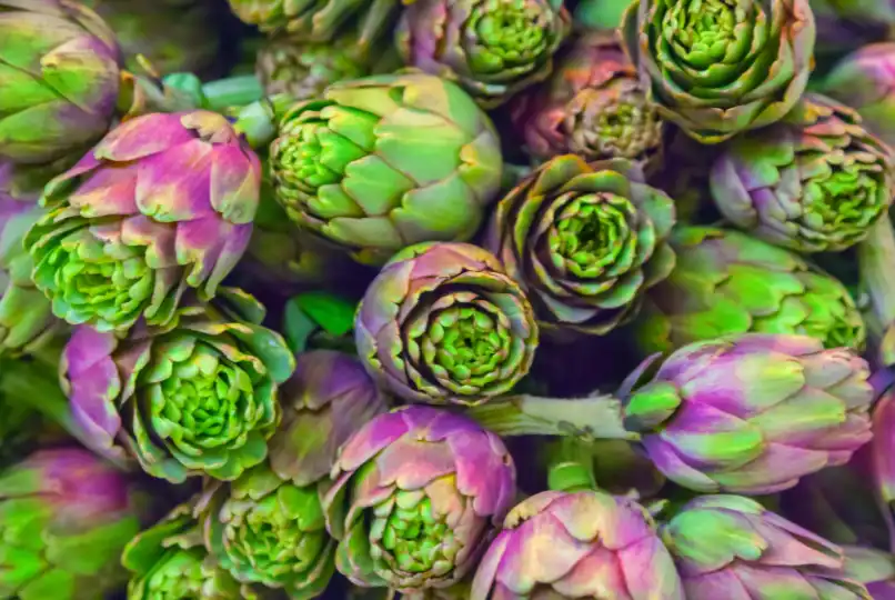 Artichokes Antioxidants