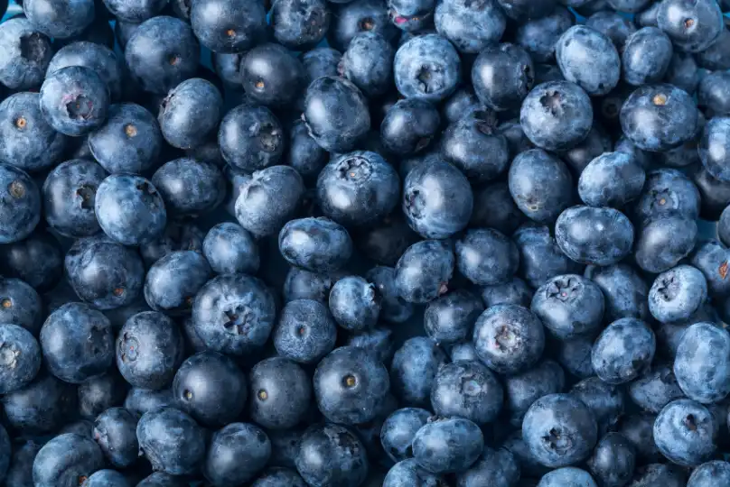 Blueberries Antioxidants