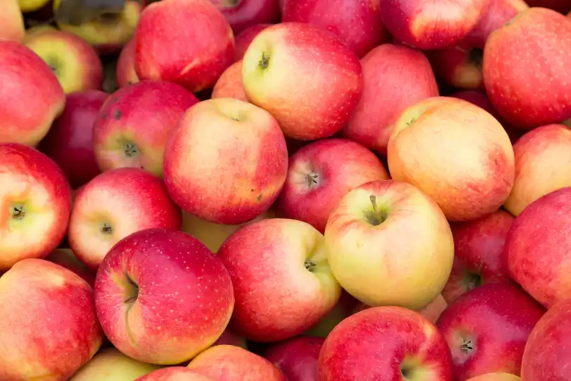 Apples Antioxidants