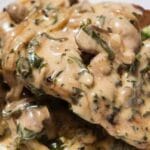 Chicken Breast with Mushrooms and Creamy Sauce